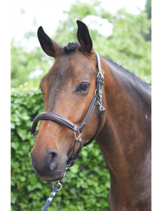 Licol Jump'In Wednesday marron