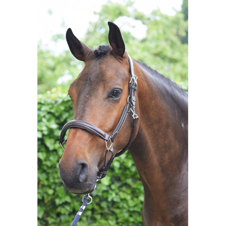 Licol Jump'In Wednesday marron