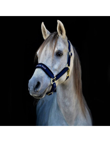 Licol Back On Track Werano marine