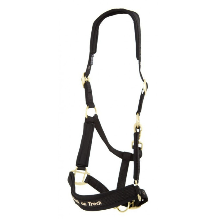 Licol Back On Track Werano noir