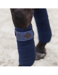 Bande de Pole Kentucky Gitter 2