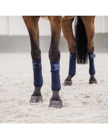 Bande de Pole Kentucky Gitter marine