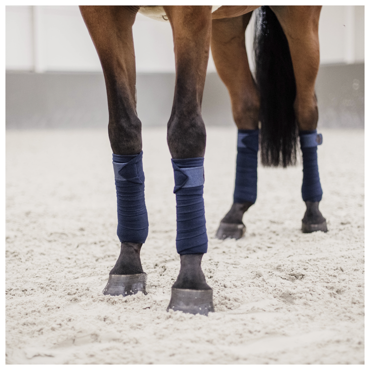 Bande de Pole Kentucky Gitter marine