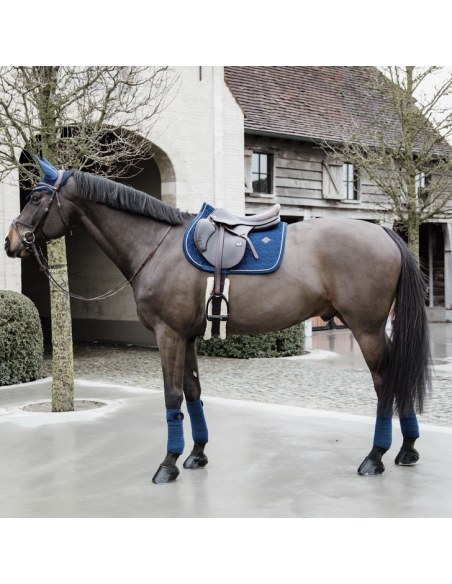 Tapis Kentucky Velvet marine