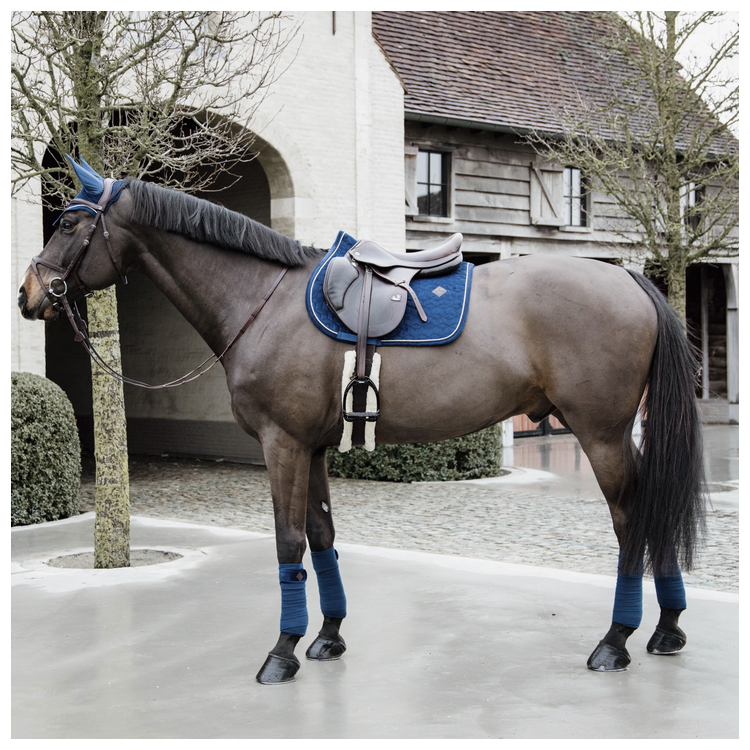 Tapis Kentucky Velvet marine