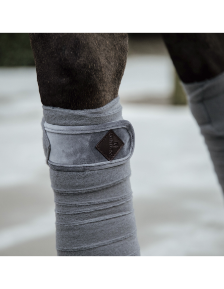 Bande De Polo Kentucky gris