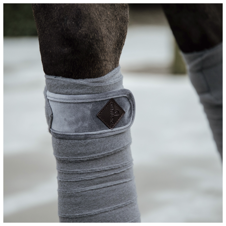 Bande De Polo Kentucky gris