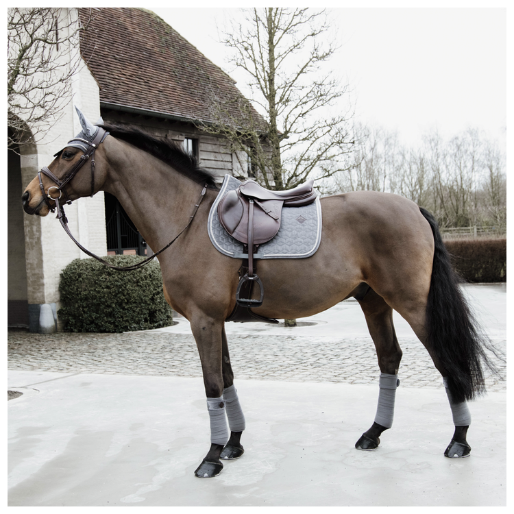 Bande De Polo Kentucky gris