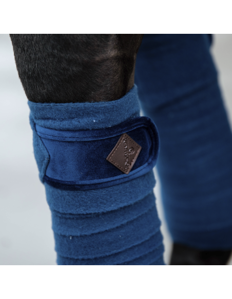 Bande De Polo Kentucky marine