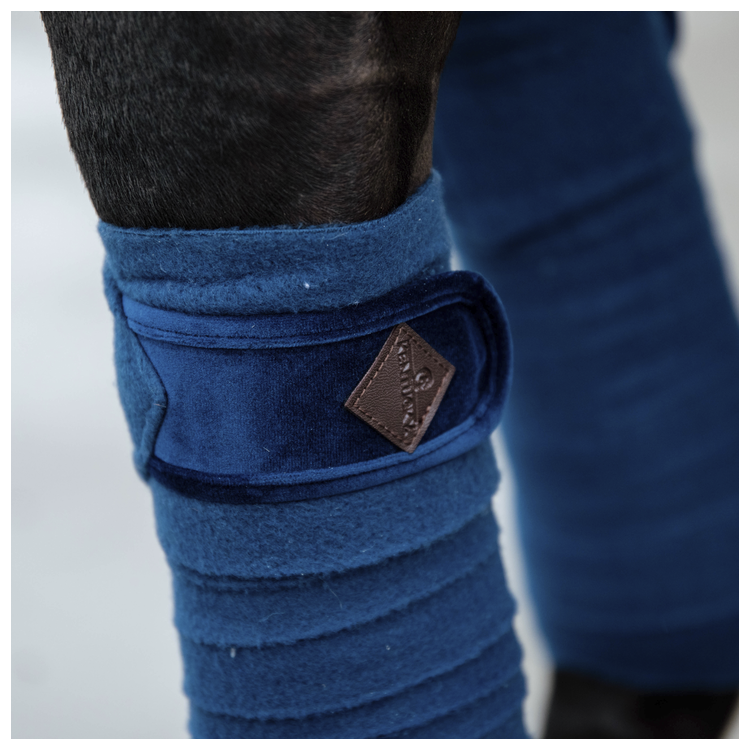 Bande De Polo Kentucky marine