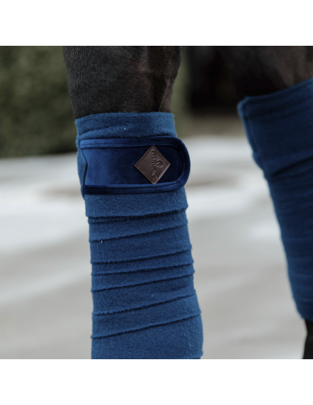 Bande De Polo Kentucky marine