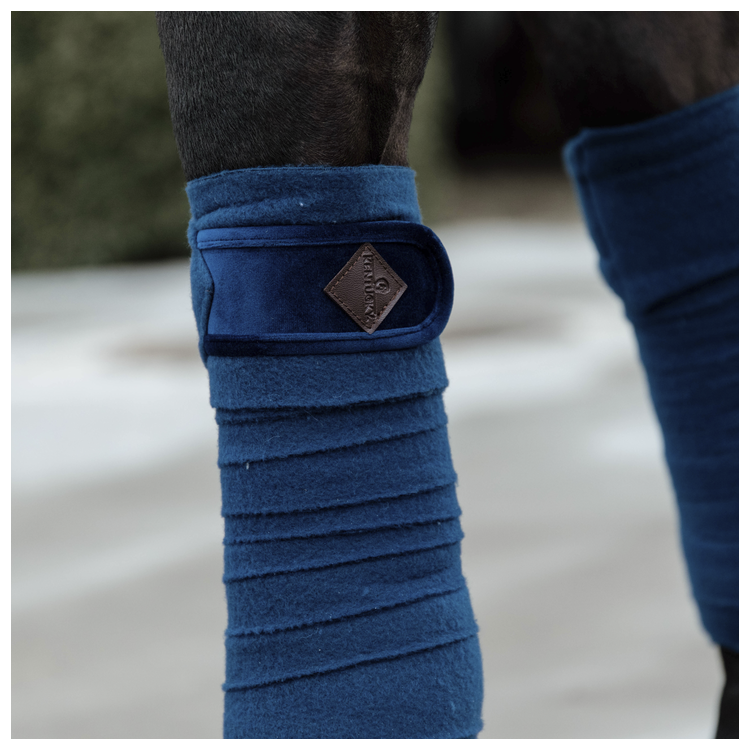 Bande De Polo Kentucky marine