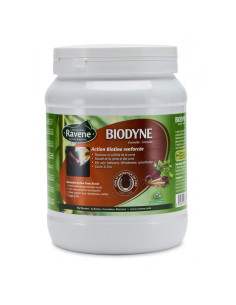 Ravene Biodyne 1kg