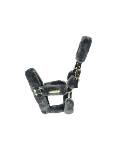 Licol Kentucky Mouton gris