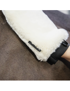 Gant de pansage Kentucky Mouton 2