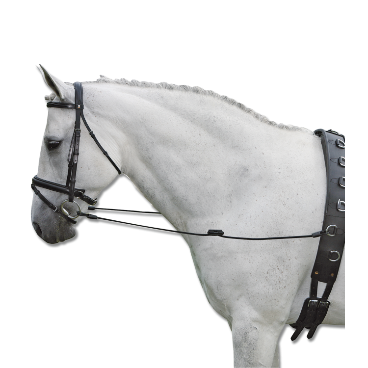 Rênes De Cravates Waldhausen Elastiques