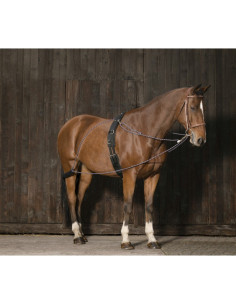 Enrênement Norton à Poulies