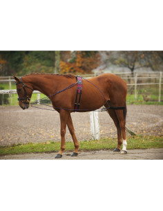 Enrênement Norton à Poulies 2