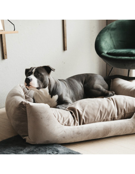 Lit Kentucky Pour Chien Velvet