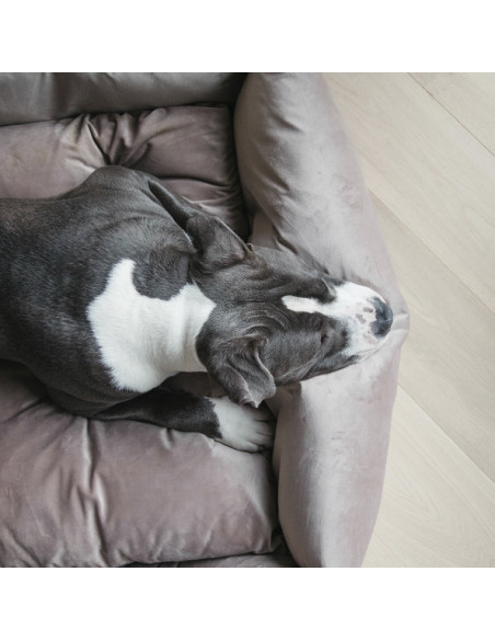 Lit Kentucky Pour Chien Velvet