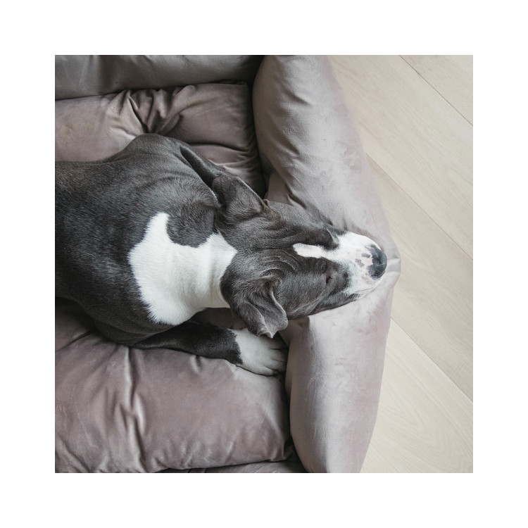 Lit Kentucky Pour Chien Velvet