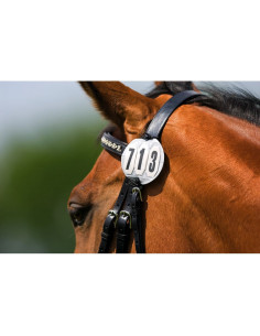 Numéro De Départ 3 Chiffre Rond