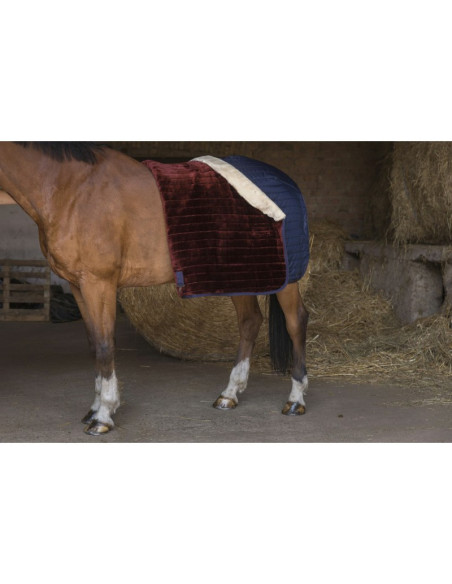 Couverture D' Ecurie Equithème Teddy Mouton Synthétique marine