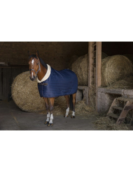 Couverture D' Ecurie Equithème Teddy Mouton Synthétique marine