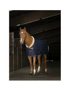 Chemise Equithème Mesh Teddy marine