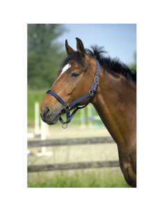 Licol Nylon Norton Doublé En Cuir