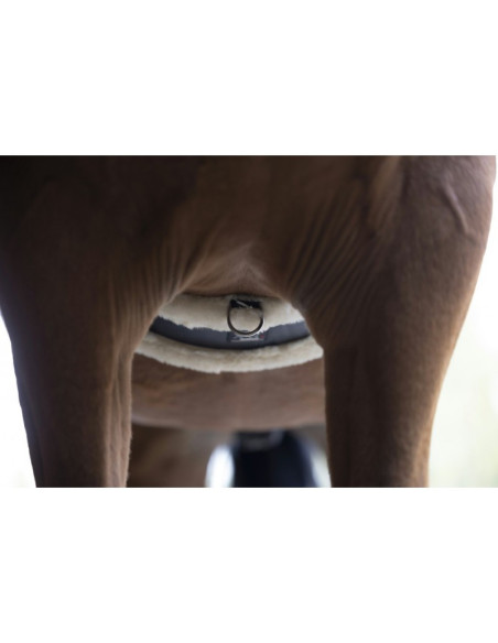 Sangle Norton XTR Mouton Synthétique