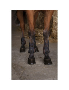 Protège-boulets Norton XTR noir 2