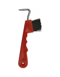 Cure-Pied Brosse Hippotonic 2