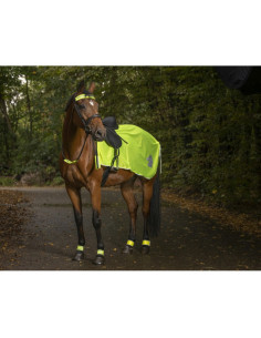 Couvre-Reins Norton 2