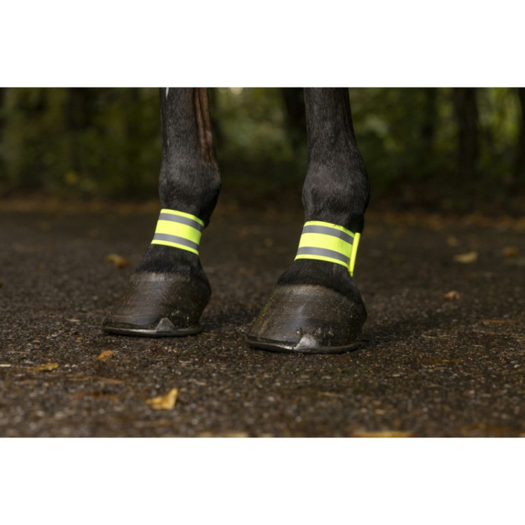 Bandages Réfléchissant Norton