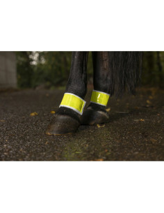 Bandages Postérieurs Réfléchissant Norton