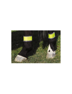 Bandages Postérieurs Réfléchissant Norton 2