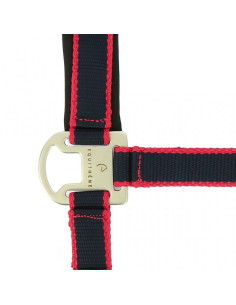 Licol + Longe Equithème "Satiné" Marine/fuchsia 2