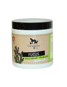 Fucus C&Cie Plante Pure