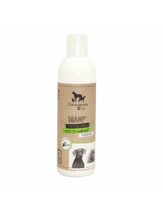 Shampooing C&Cie Purifiant