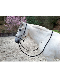 Licol-Ethologique-Avec-Rênes-Noir