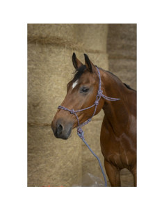 Licol-Ethologique-Longe Norton-Eco-Gris-Framboise-Noir