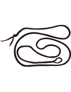 Longe-Ethologique-Norton 2