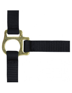 Licol-Foal-Longe-Norton-Violet 2