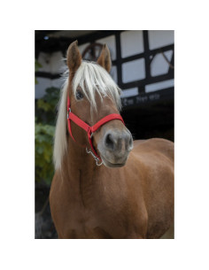 Licol-Norton-Pro-Cheval-De-Trait-Rouge