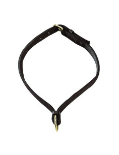 Collier-Pour-Chevaux-Norton