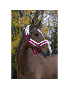 Licol-Norton-Confort-Bleuvif 2