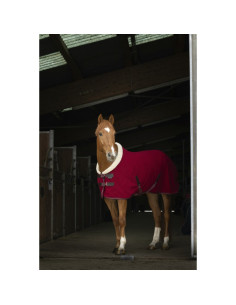 Chemise-Polaire-Equithème-Bordeaux