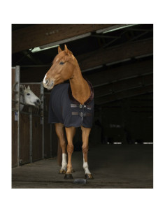Chemise-Polaire-Equithème-Bordeaux 2