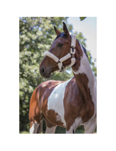 Licol-Norton-Full-Mouton-Synthétique-Choco-Mouton-écru 2